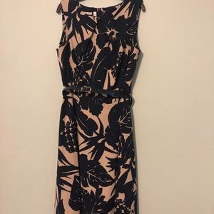Signature Patterned Fit and Flare Dress with Belt